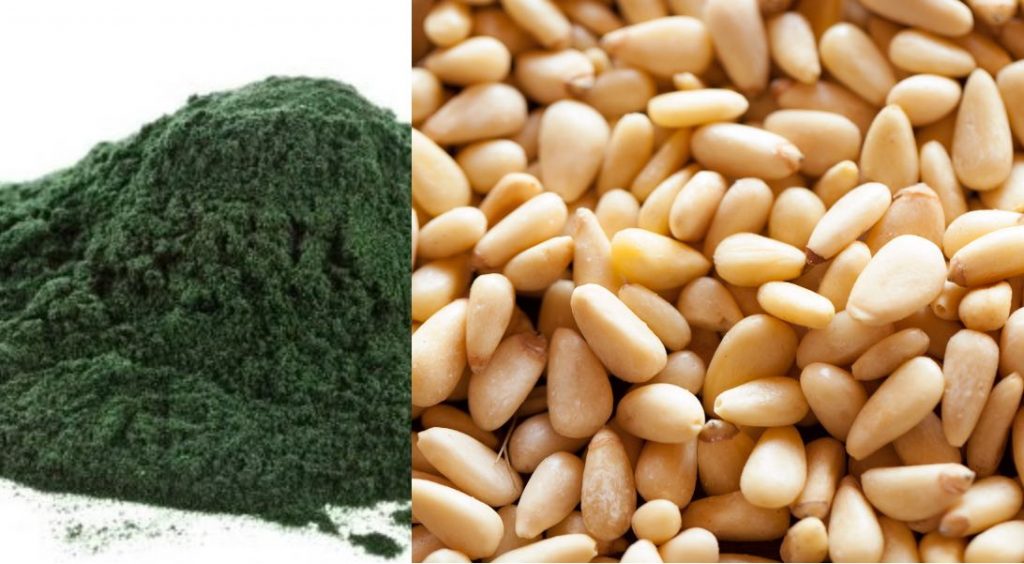 Complete Vegan Protein: spirulina and pine nuts